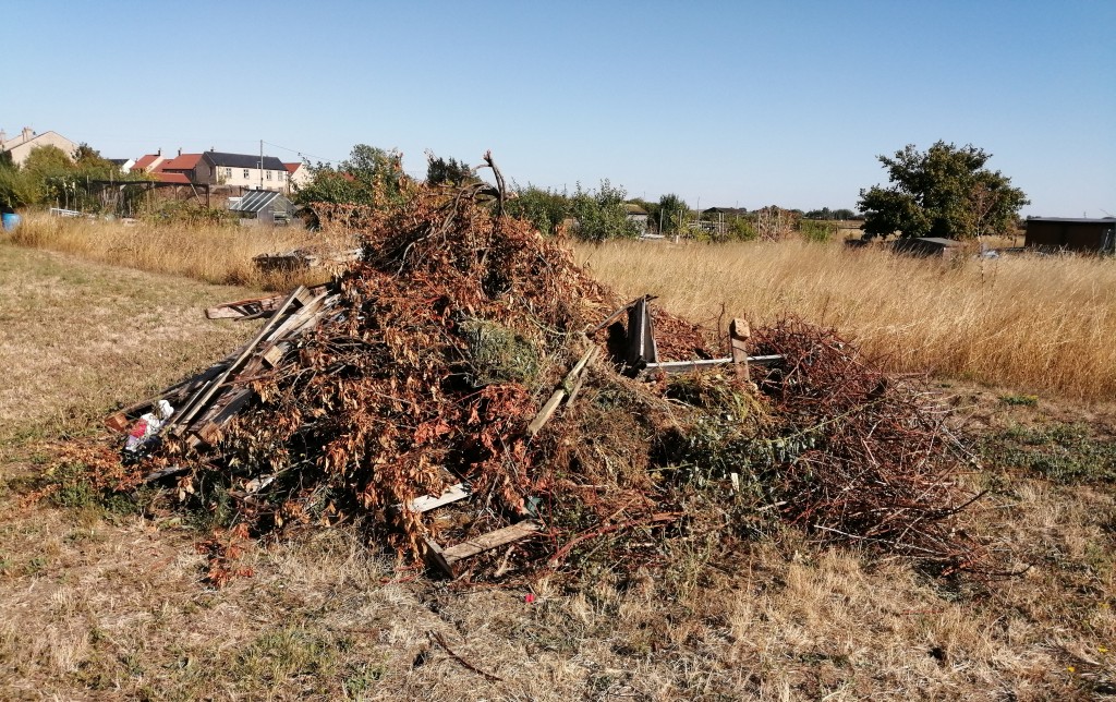 A pile of wood and branches on Stretham allotments.